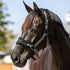 LeMieux Vogue Halter and Leadrope Set